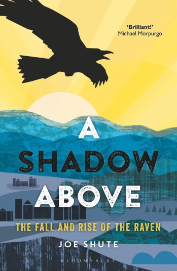 A Shadow Above  The Fall and Rise of the Raven