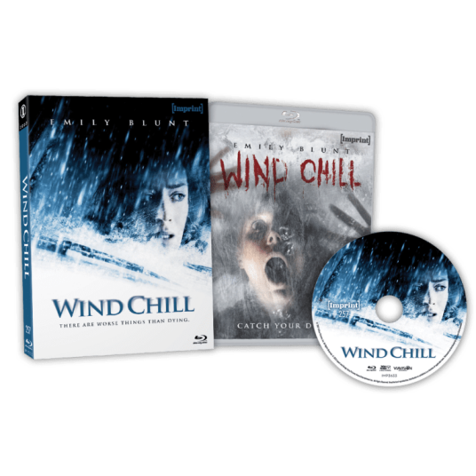 Wind Chill (2007)