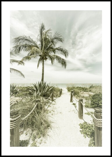 Tropical Beach Pathway Plakat / 50x70