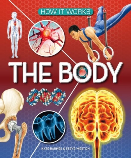 How It Works: The Body Av Kate Barnes