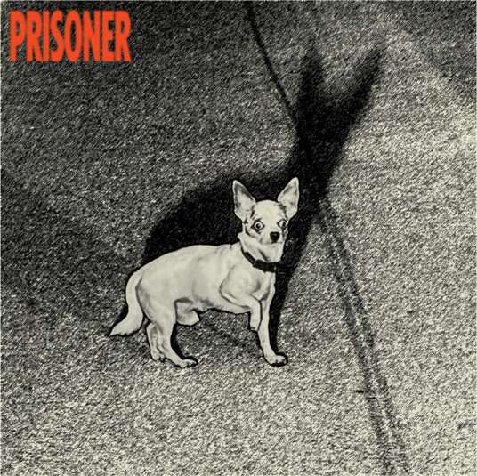 Prisoner