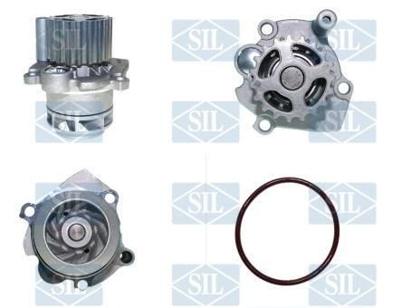 Saleri SIL PA1355A Vannpumpe Saleri SIL PA1355A Vannpumpe