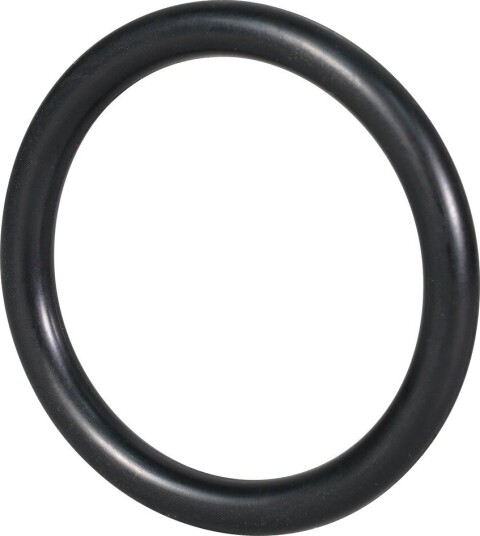 Makita O-Ring E-22408 For Kraftpipe 3/4"