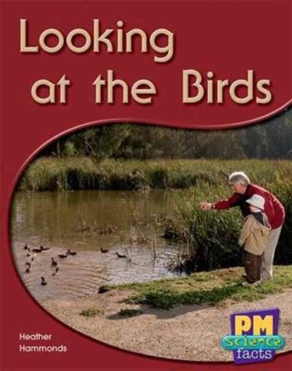 Looking at the Birds Looking at the Birds