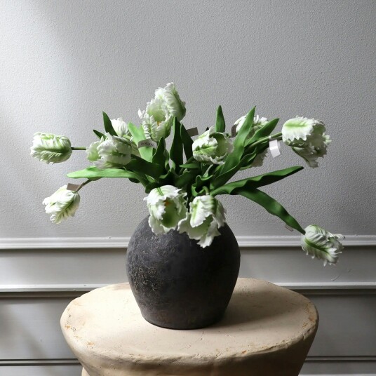 Botané Small Parrot Tulips Bukett