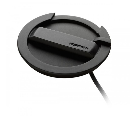 Fishman Neo-Buster Humbucking Pickup Pro-Neo-Fb2 Fishman Neo-Buster Humbucking Pickup Pro-Neo-Fb2