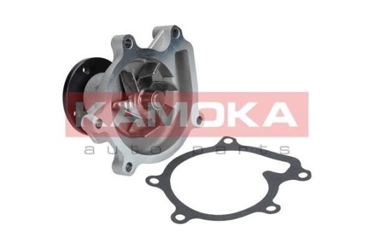 KAMOKA T0269 Vannpumpe