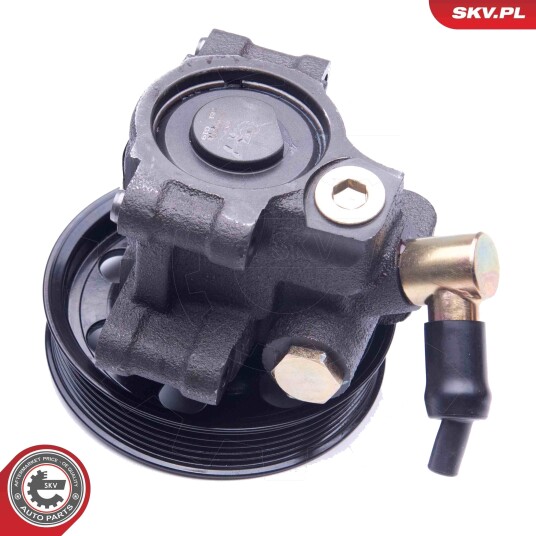 Servopumpe ESEN SKV 10SKV260