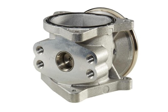 EGR Ventil HELLA 6NU 010 171-301