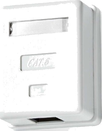 Nedis 1-Port UTP CAT6 Veggboks Hvit Gullbelagt