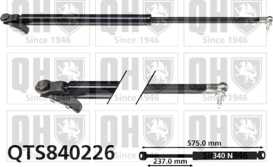 QUINTON HAZELL QTS840226 Baklukedemper