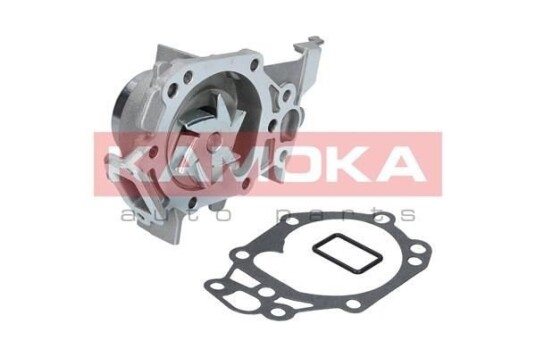 Vannpumpe KAMOKA T0105