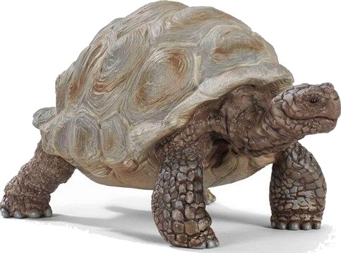 Schleich Kjempe-Skilpadde Figur i Plast - Wild Life