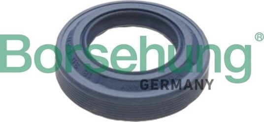 Akseltetningsring differensial Borsehung B17828