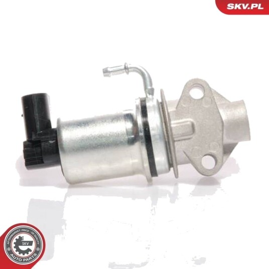 EGR-ventil ESEN SKV 14SKV018