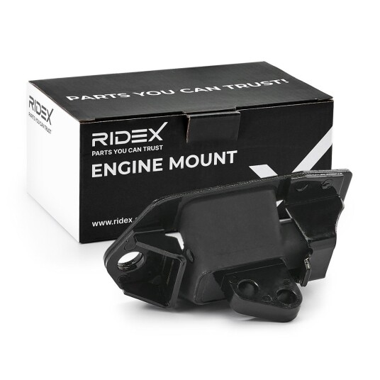 Motorfeste RIDEX 247E0583