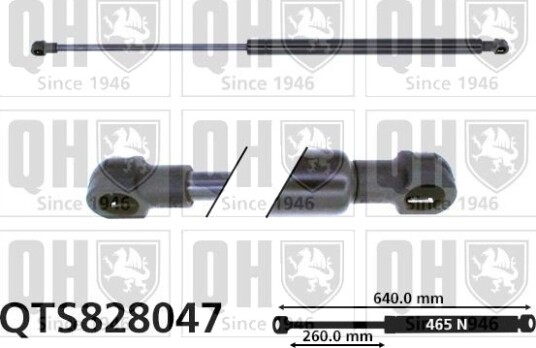 QUINTON HAZELL QTS828047 Baklukedemper