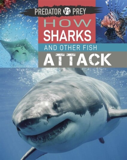 Predator Vs Prey: How Sharks And Other Fish Attack Av Tim Harris