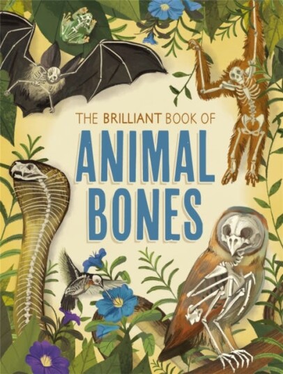 The Brilliant Book Of Animal Bones Av Anna Claybourne The Brilliant Book Of Animal Bones Av Anna Claybourne