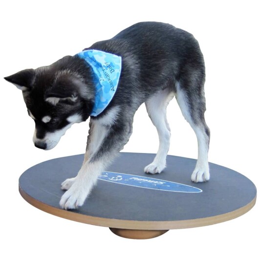 Fitpaws Vippebrett 50 cm Svart