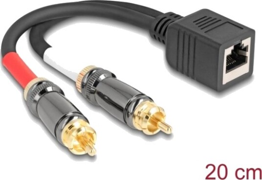 Delock Audioadapter Rca Hann Til Rj 45 Hunn 20 Cm Svart