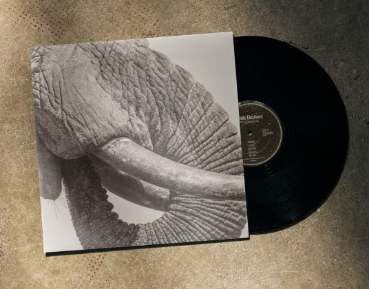 World Elephant Day