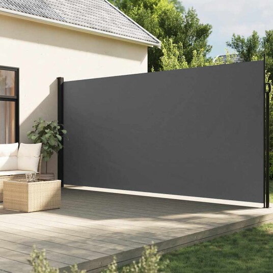  Uttrekkbar sidemarkise antrasitt 220x300 cm 4004383