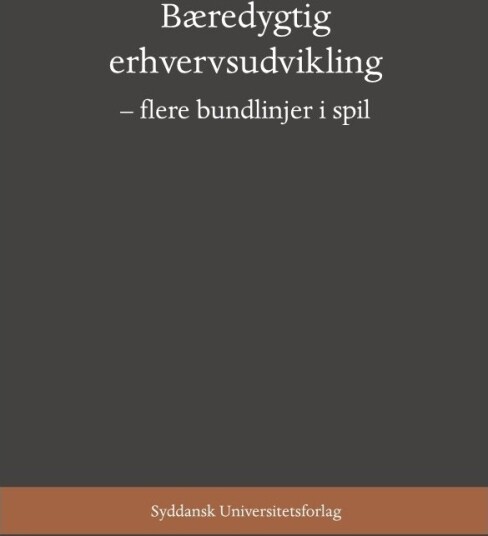 Bærekraftig Næringsutvikling | Majbritt R. Evald Per V. Freytag Mads Bruun Ingstrup | Språk: Dansk