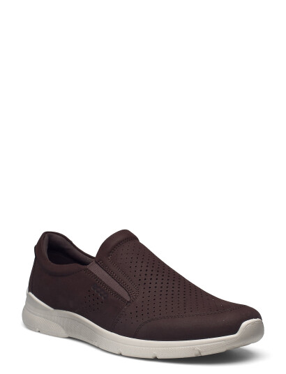 ECCO Irving Brown 46