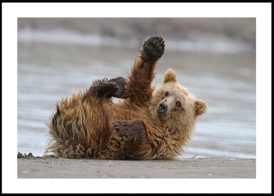 High Five Plakat / 50x70cm High Five Plakat / 50x70cm