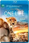 One Life One Life