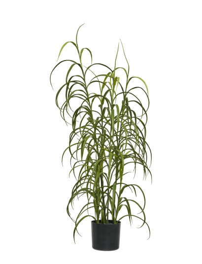 House Nordic Grava   Green   36X36X89CM