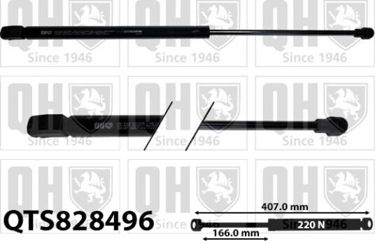 QUINTON HAZELL QTS828596 Baklukedemper