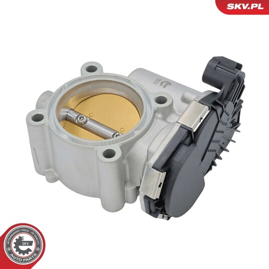Gasspjeld ESEN SKV 12SKV201