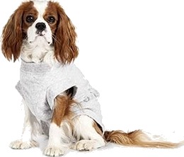 Sårbeskyttelse Body 29Cm -Hund