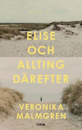 Elise Och Allting Därefter Av Veronika Malmgren