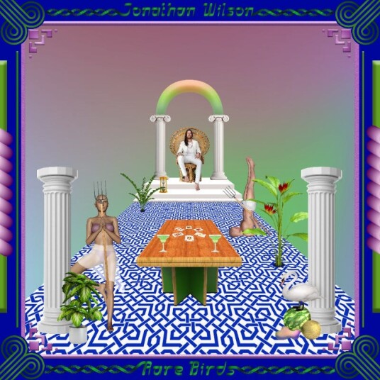 Jonathan Wilson Rare Birds CD Jonathan Wilson Rare Birds CD