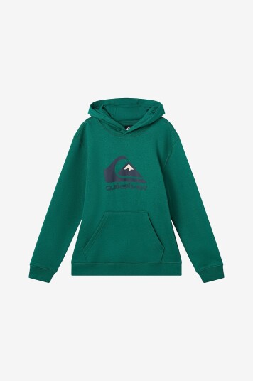 Quiksilver Hettegenser Big Logo Hoodie Youth Grønn