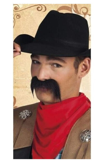 Aster Wasy Cowboy Univ