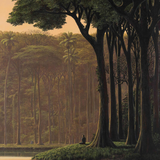 Natura Sonara