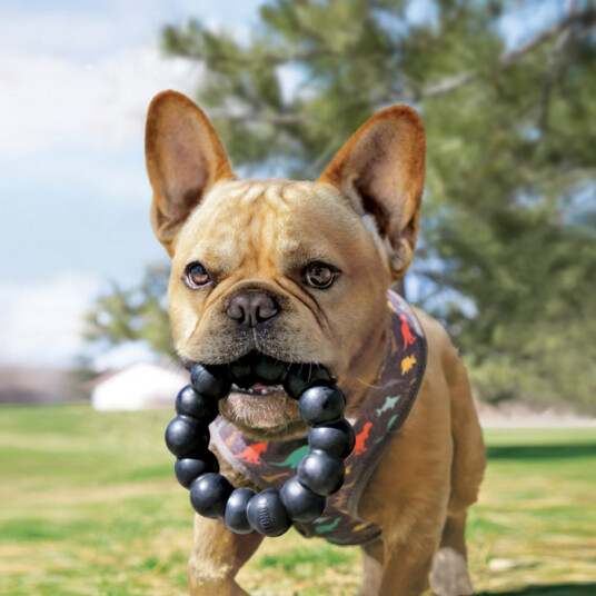 Kong Extreme Ring Hundeleke Xl