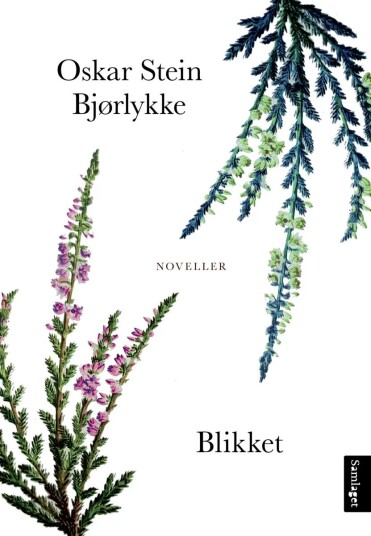Blikket Av Oskar Stein Bjørlykke