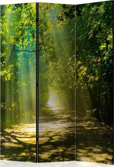 Romdeler Road In Sunlight 135x172 - Artgeist sp. z o. o.