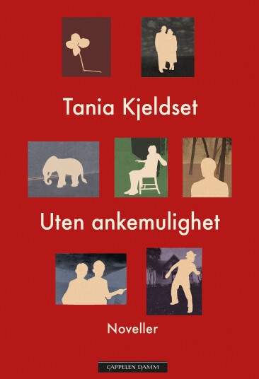 Uten ankemulighet