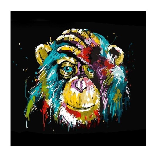 Lerretsposter, Ape - 50 x 50 cm