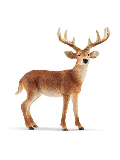 Schleich Wild Life Hvithalehjort Figur i Plast Schleich Wild Life Hvithalehjort Figur i Plast