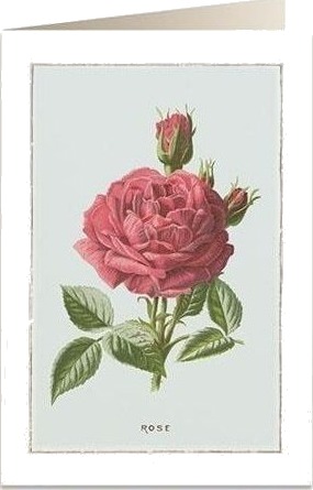 Tassotti Konvolutt /Gavekort B6 + Konvolutt 6019 Rosa Damaskensk
