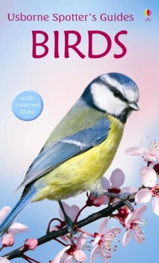 Birds Av Peter Holden