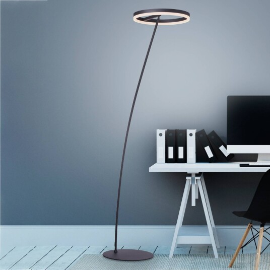 Paul Neuhaus LED gulvlampe Titus dimbar Sort Stue / spisestue Aluminium Moderne Gulvlampe lysstråle ned