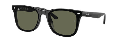 Ray-ban Sunglasses 0Rb4420 Black/Dark Green Lenses solbriller Black 65